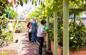 Visit our community gardens